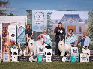 2025 Wsm Bob Bos Jubilee Winner